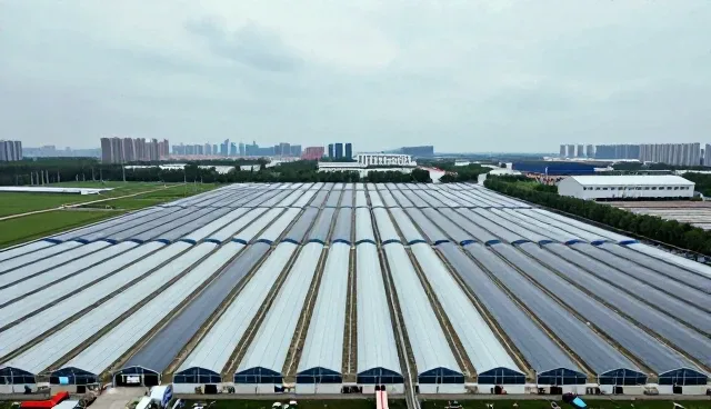 提升技术外包效率：成果转化中的适配方案实践